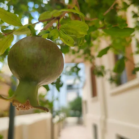 Corfu Tennis * Corfu (city)