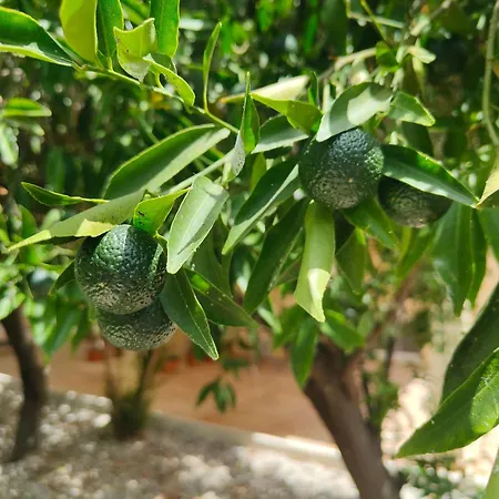 Corfu Tennis * Corfu (city)